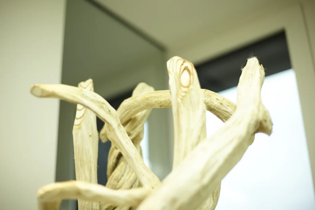 Endodontie &mdash; Praxis Holtkamp